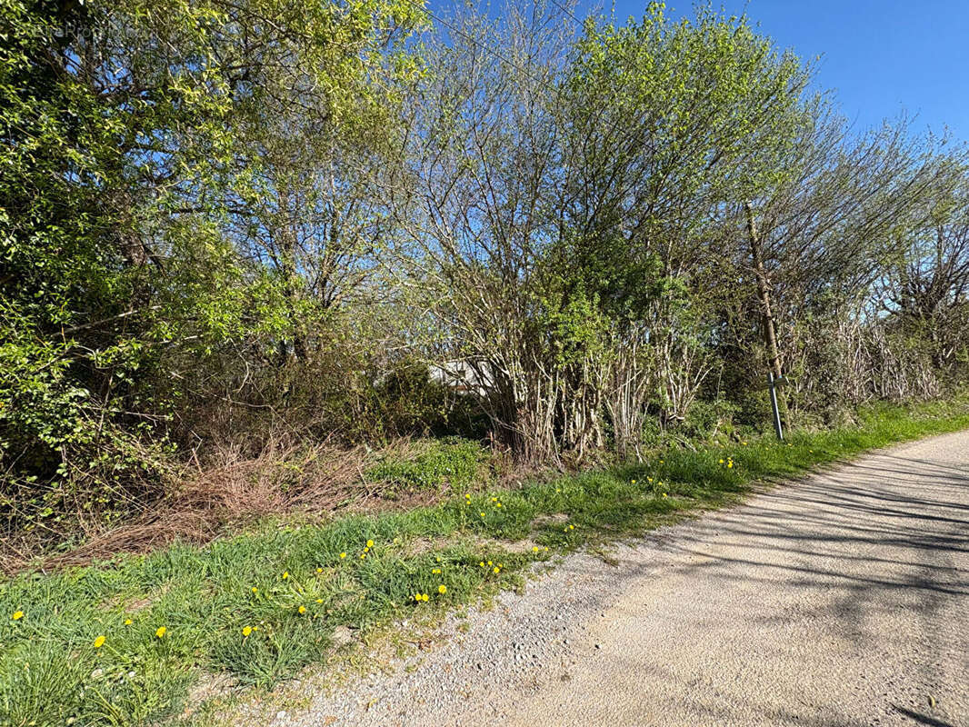 Terrain à BOURGANEUF