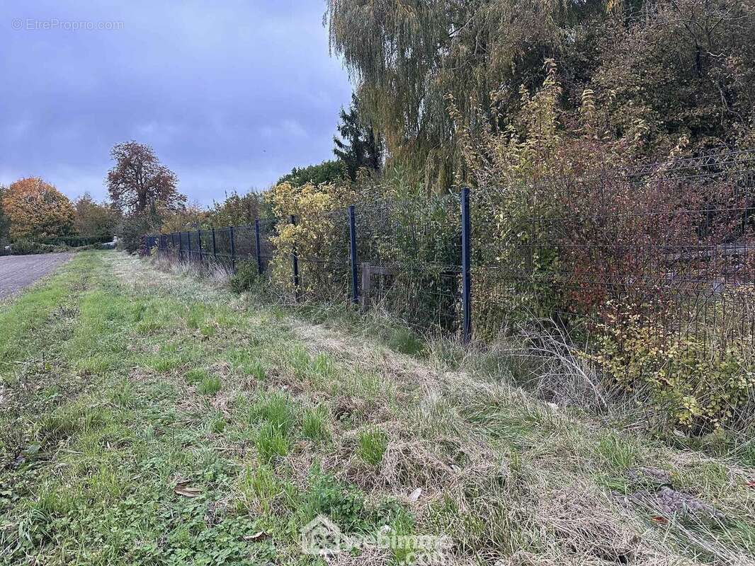 Un espace naturel à aménager selon vos envies - Terrain à SISSONNE
