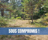 Terrain à CAILLE