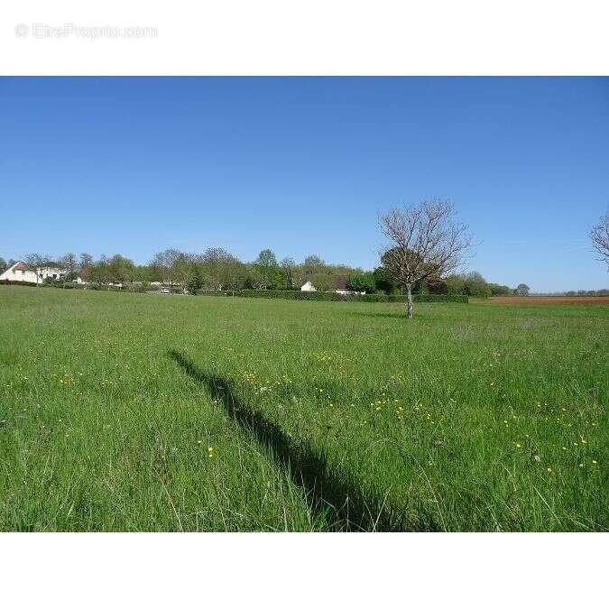 Terrain à LES QUATRE-ROUTES-DU-LOT