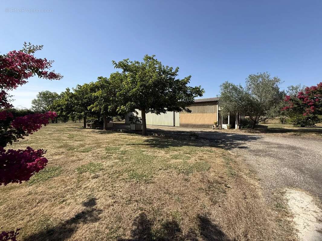 À 5 minutes de Nogaro, maison T4 de plain-pied avec 146 m² de dépendances, au calme, sur un terrain clos et arboré de 4 938 m² - photo 7