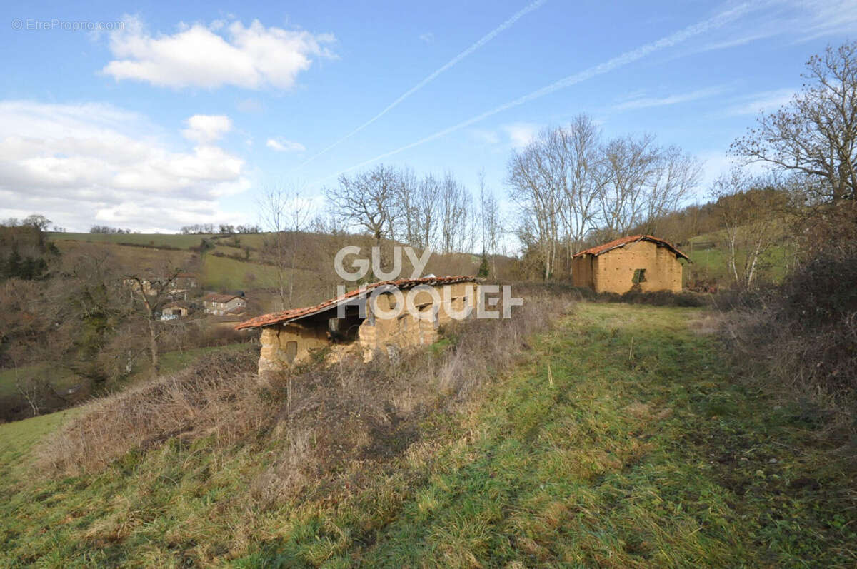 Terrain à VIRIGNEUX