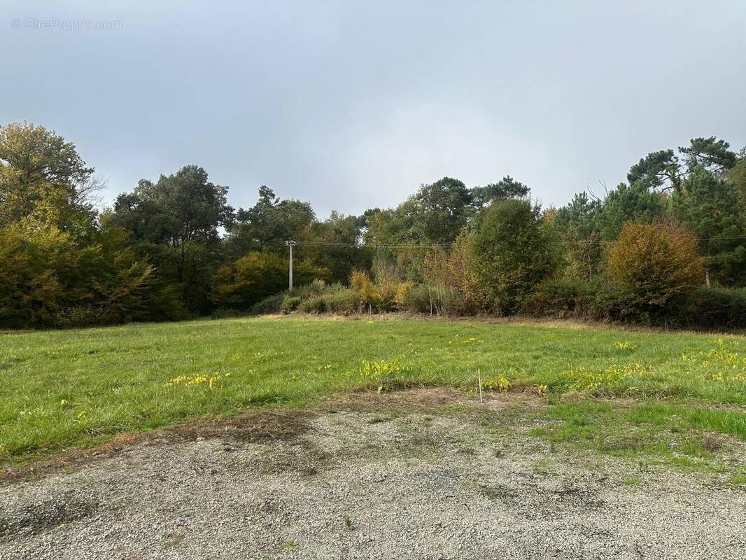 Photo 1 - Terrain à CLEYRAC