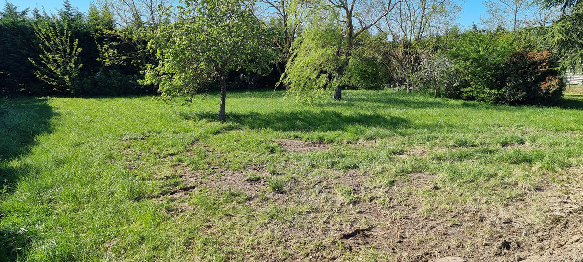 Terrain à VILLENEUVE-LA-COMPTAL