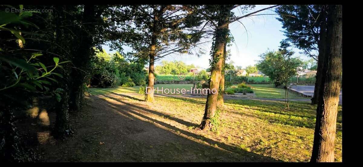 Terrain à SAINT-SULPICE