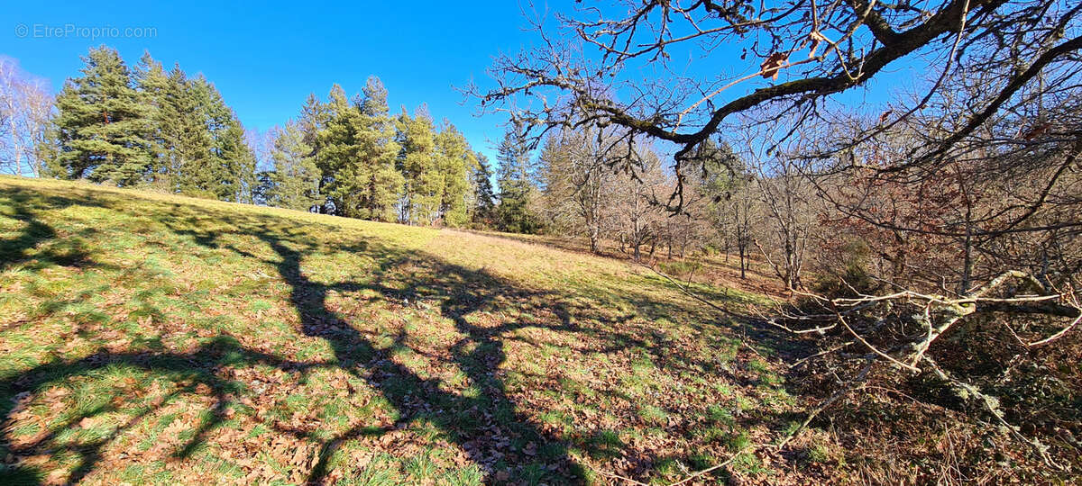 Commerce à CLERMONT-FERRAND