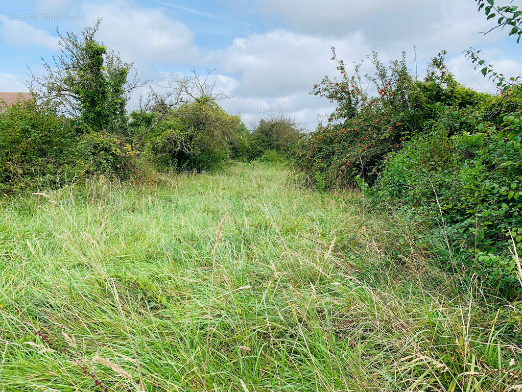Terrain à DOLLOT