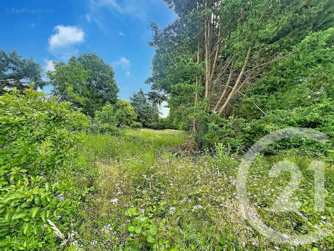 Terrain 12169 m² à Villeneuve-Sur-Yonne  - photo 3
