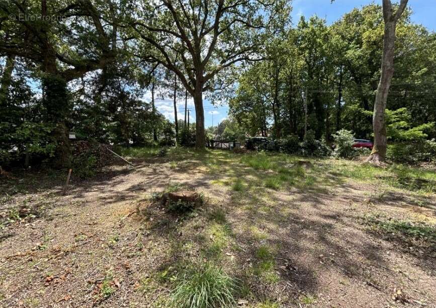 Terrain à SAINT-BREVIN-LES-PINS