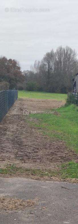 Terrain à SAINT-MEDARD-DE-GUIZIERES