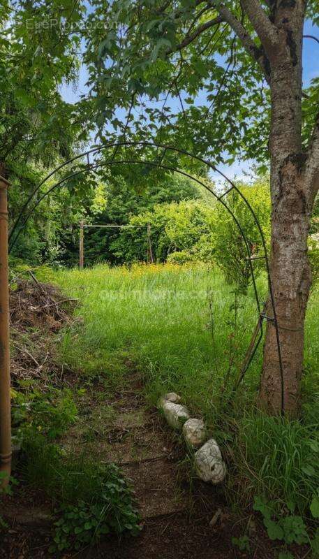 Maison de 5 pièces – 110 m² – au calme – Le Dorat (87) – 109 000 € FAI - photo 5