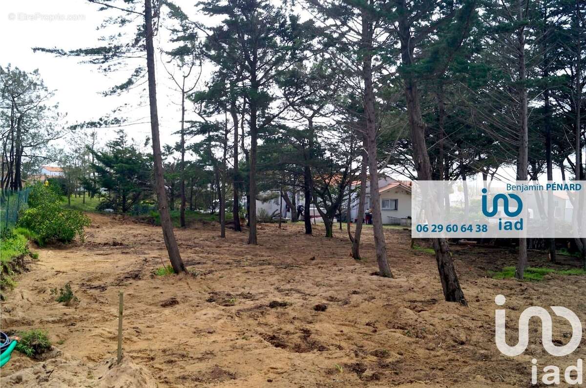 Photo 4 - Terrain à BRETIGNOLLES-SUR-MER