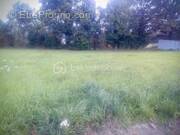 Terrain à MARTIGNE-FERCHAUD