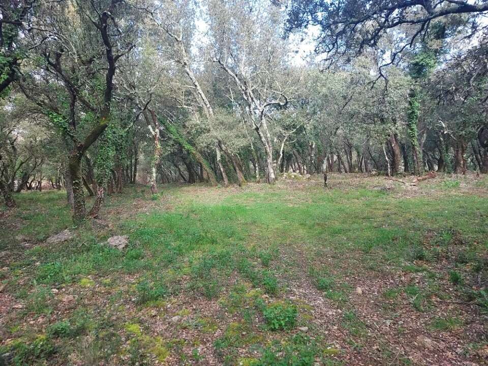 Terrain à SAINTE-ANASTASIE-SUR-ISSOLE