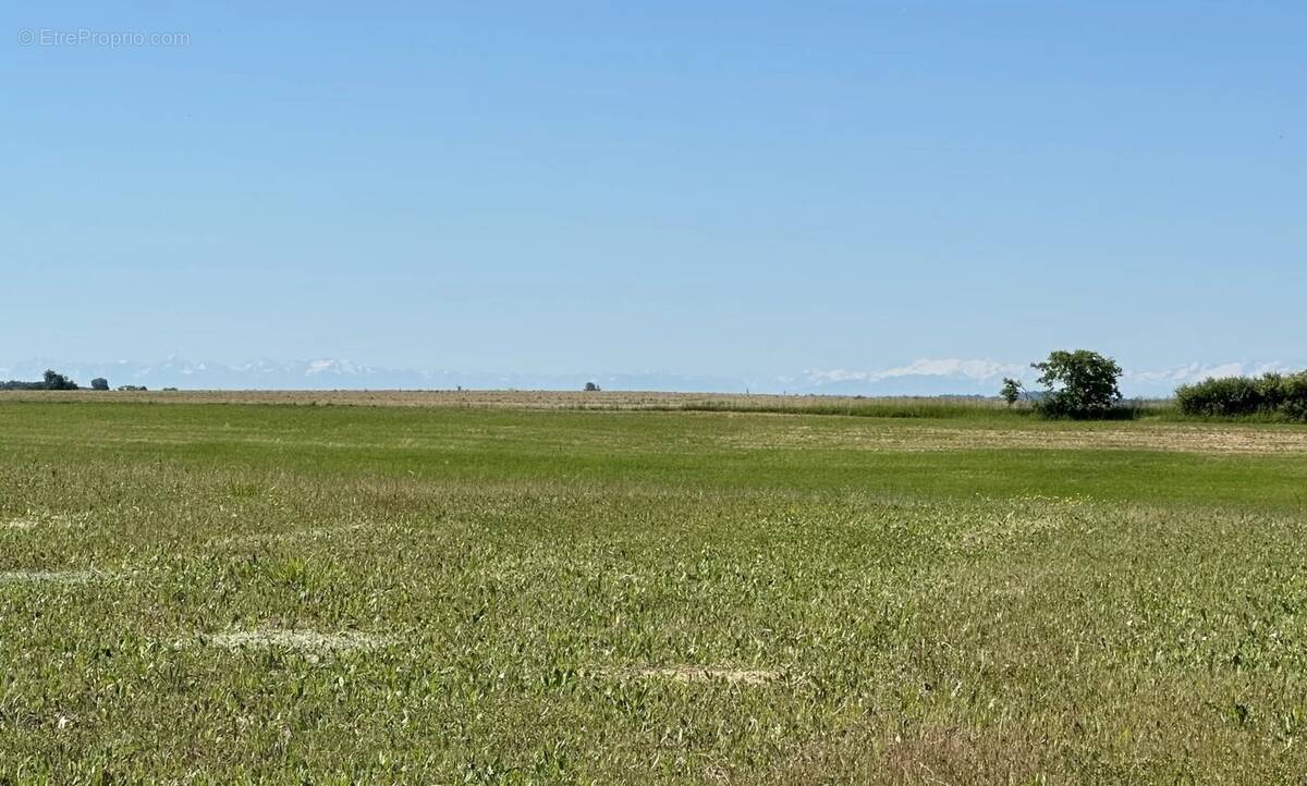 Terrain à SAINT-CLAR