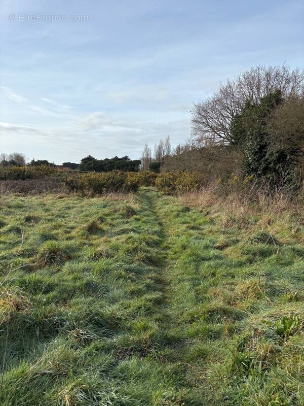 Terrain à PORNIC