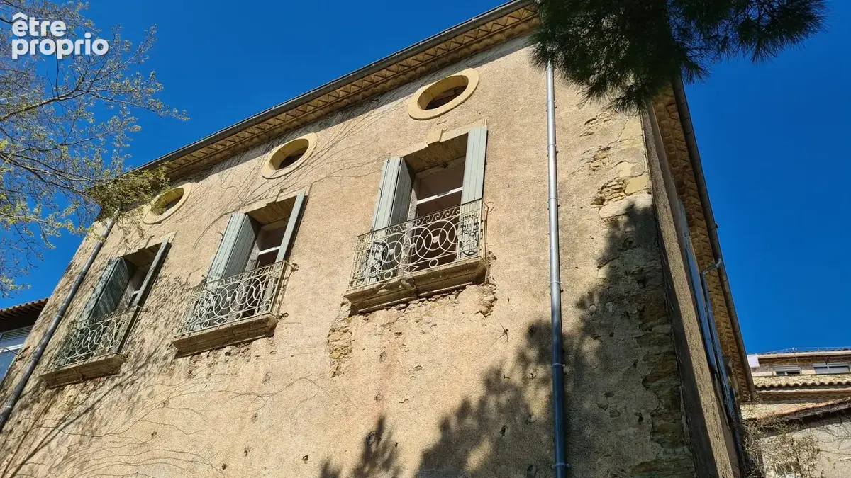 Maison 9 pièces 375 m² à vendre à Neffies (34320) - photo 5