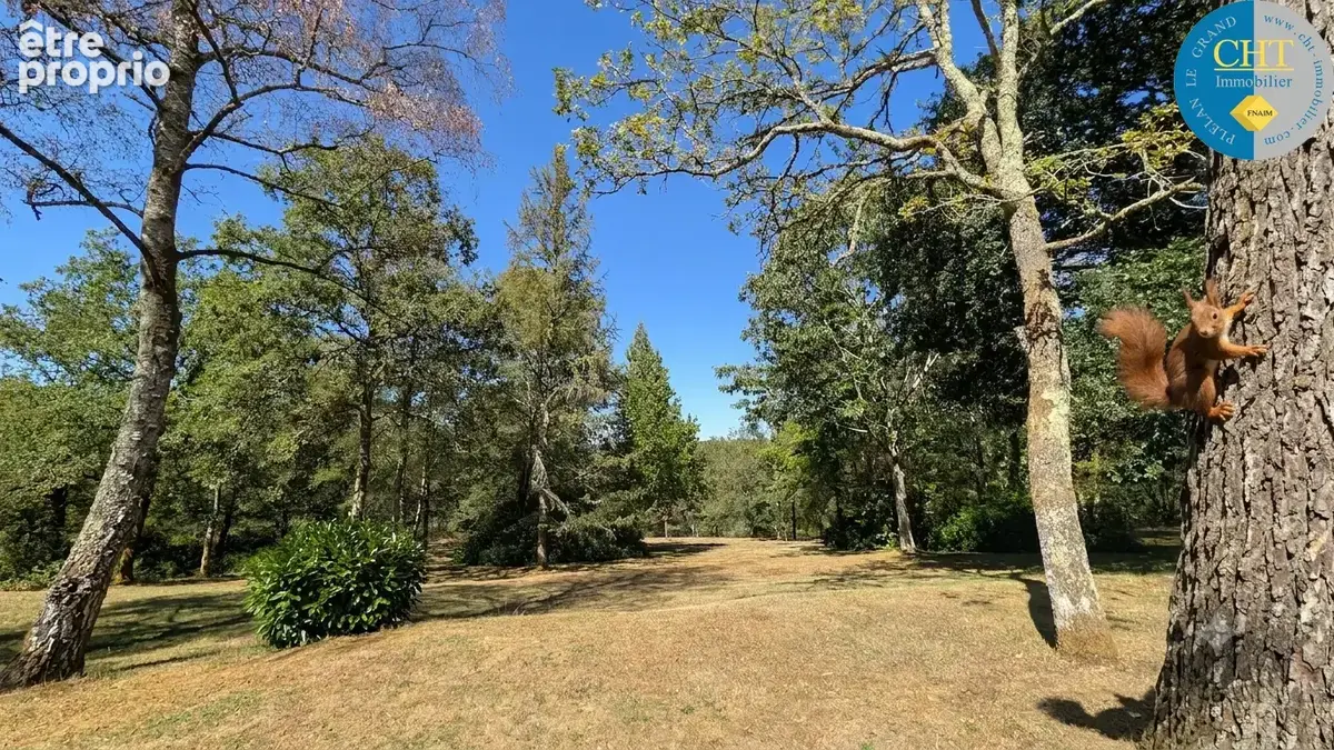 Maison de caractère avec parc de 1,5 hectare à la justice - beignon (56380) avec cht immobilier - photo 43