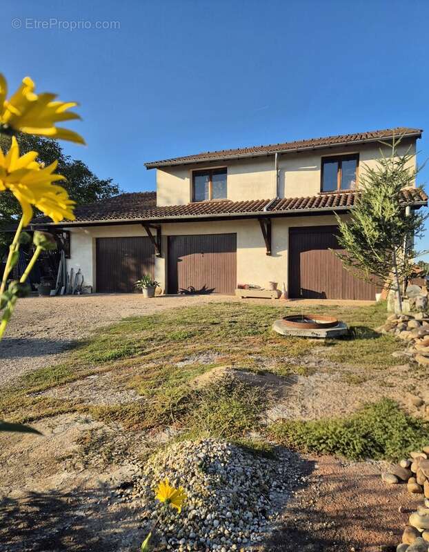 Maison à SAINT-JEAN-SUR-VEYLE