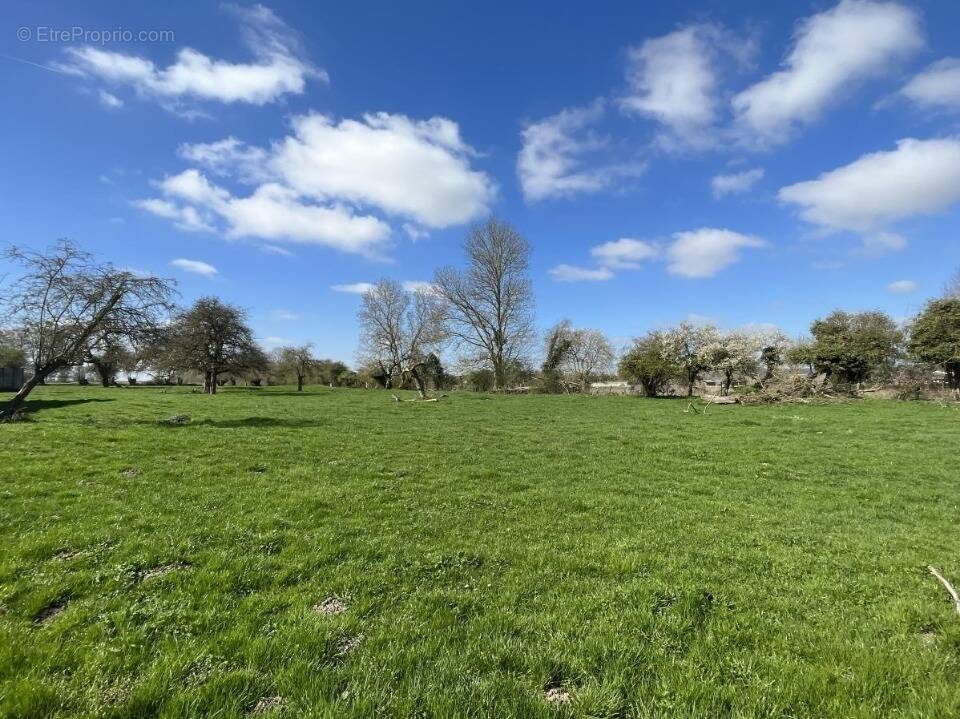 Terrain à AUBIGNY-EN-ARTOIS