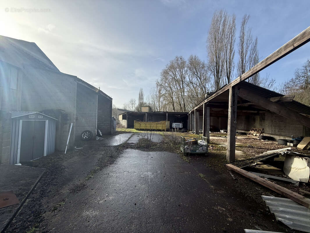 Commerce à SAINT-JEAN-D'ANGELY