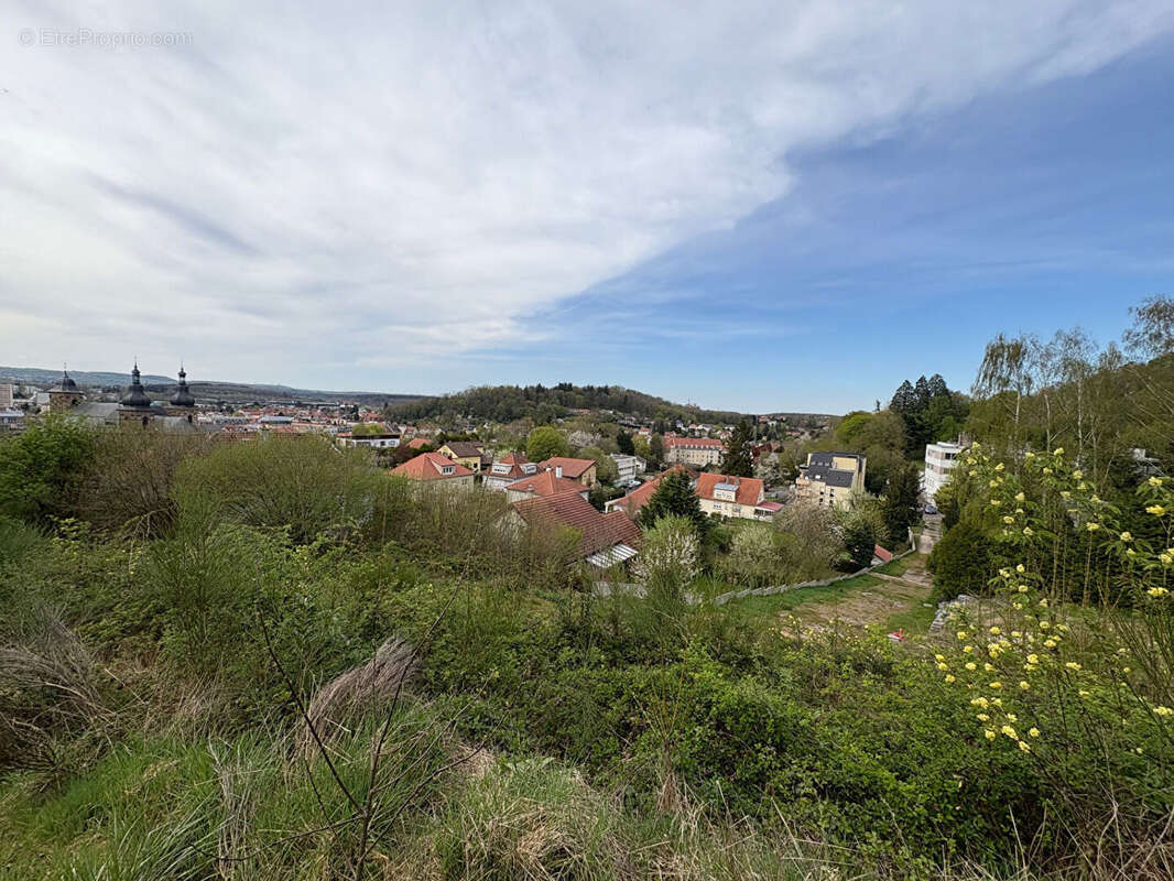 Terrain Saint Avold 3801 m2 - photo 16