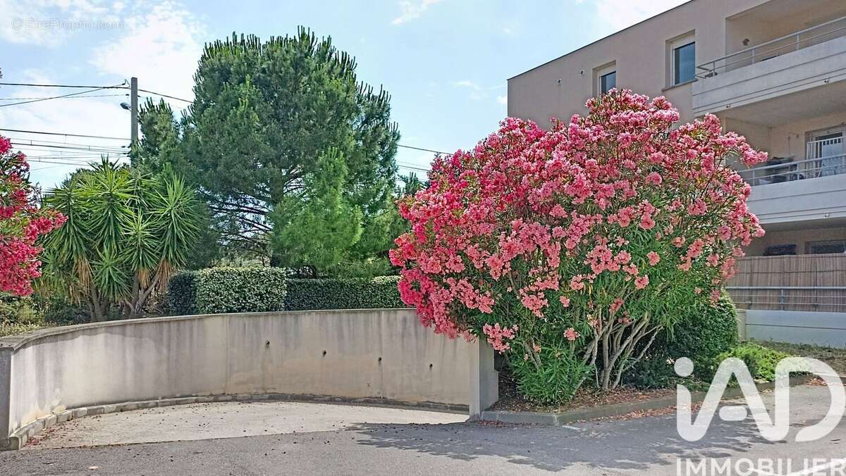 Photo 2 - Appartement à NARBONNE