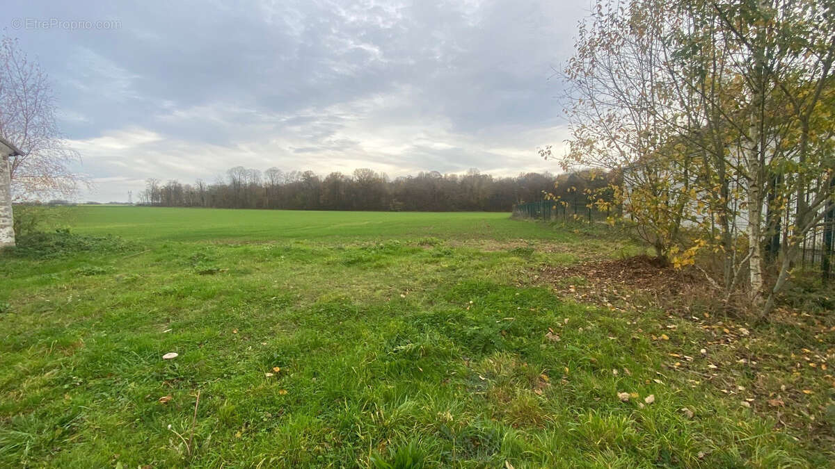 Terrain à SAINT-CYR-SUR-MORIN