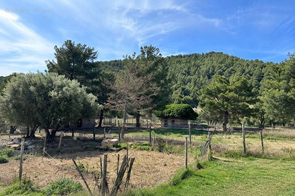 Terrain 1504 m² à Cuges-Les-Pins  - photo 2