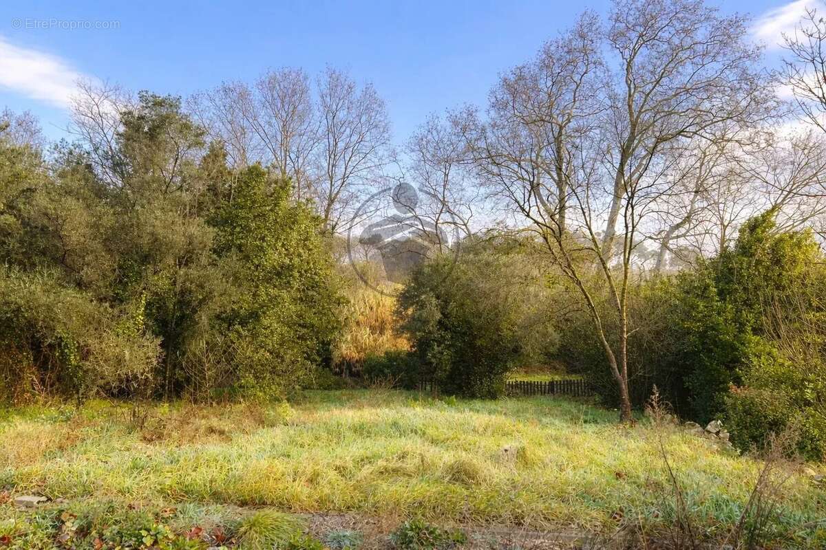 Terrain à ASSAS