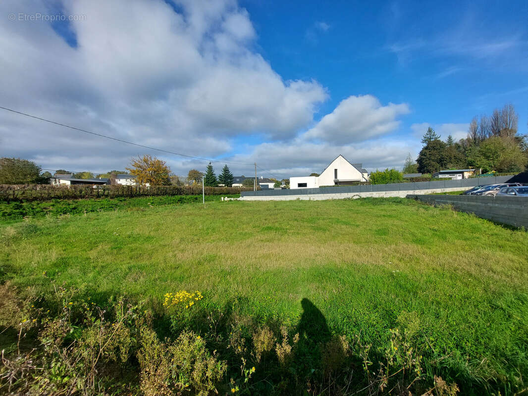 Terrain à LE PERTRE