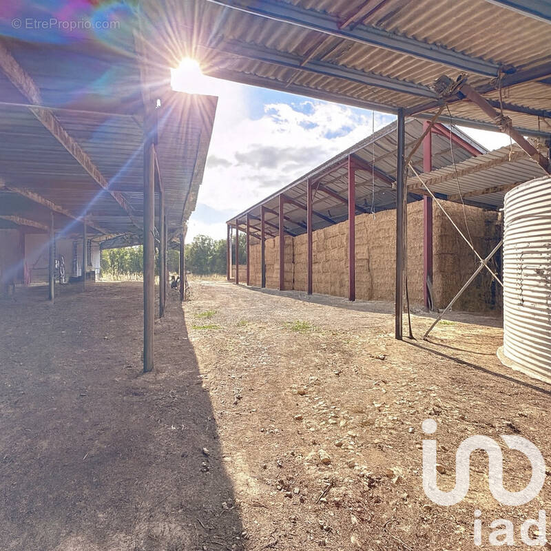 Photo 1 - Maison à NUAILLE-D'AUNIS