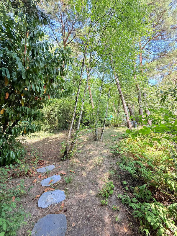 Maison 6 pièces - 139.10m2 - LA FERTÉ ALAIS - photo 25