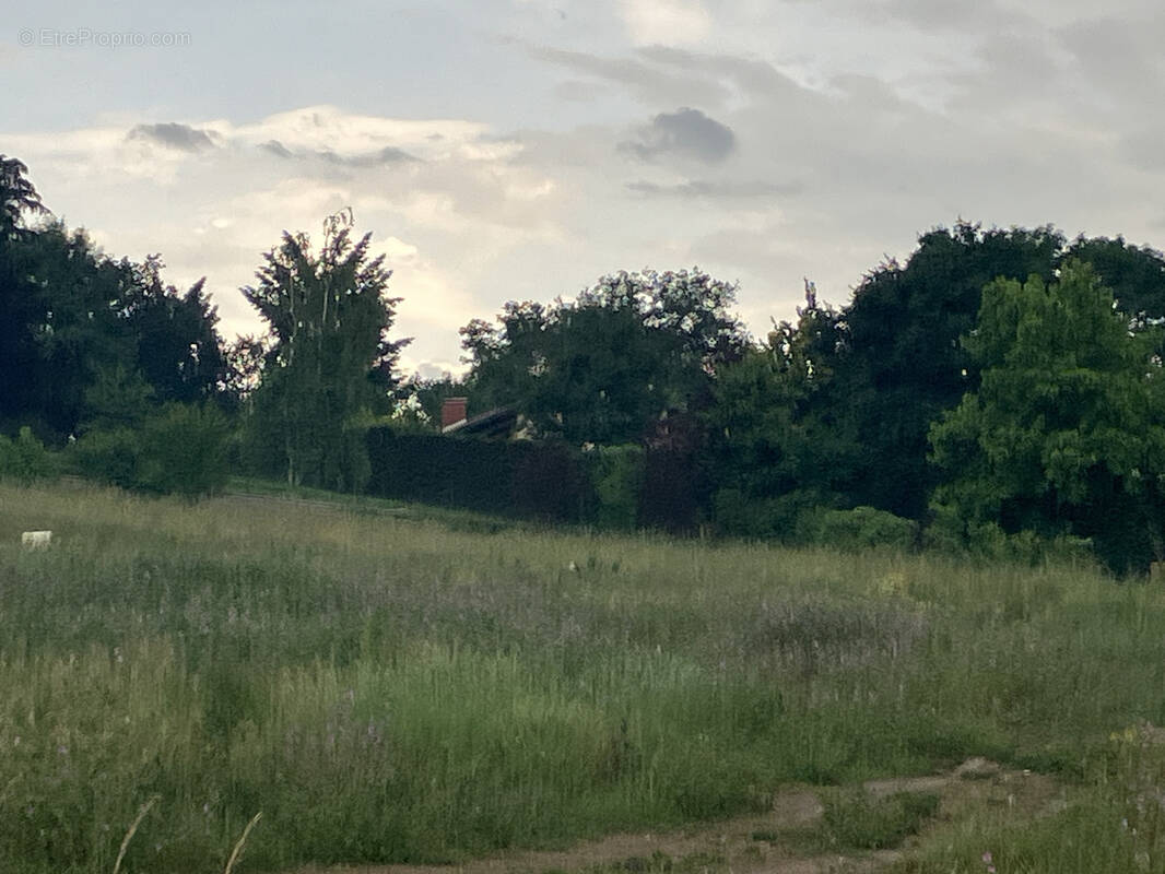 Terrain à CHATILLON