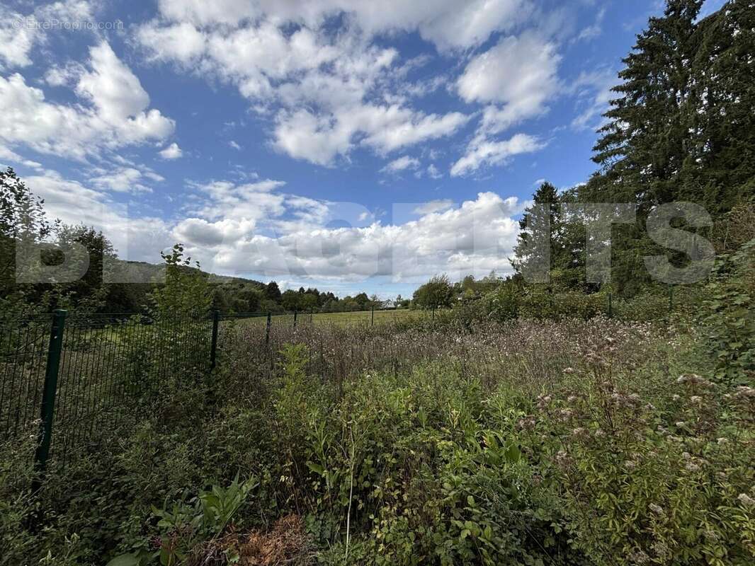 jardin givonne - Maison à GIVONNE
