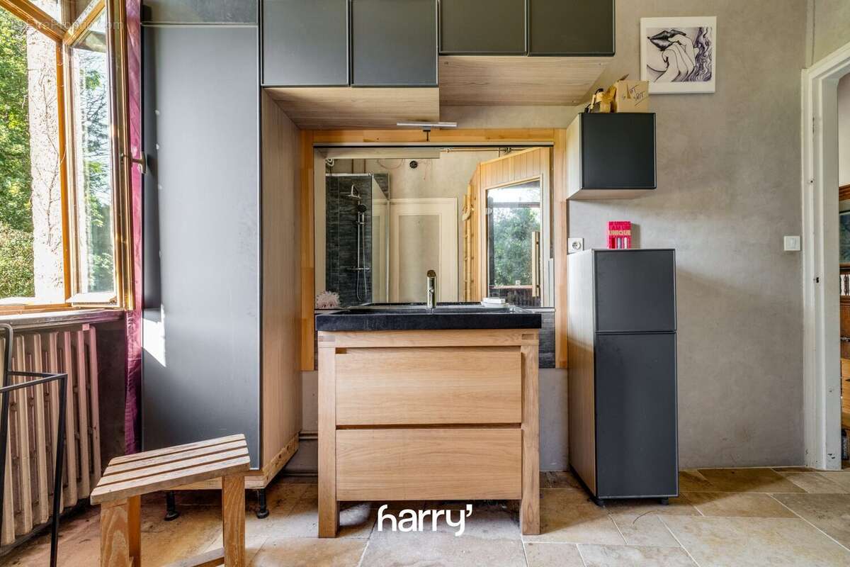 Maison 355 m² à Palise  - photo 3