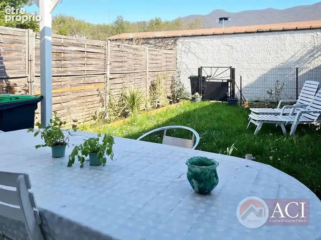Montmagny - plante des champs - photo 10