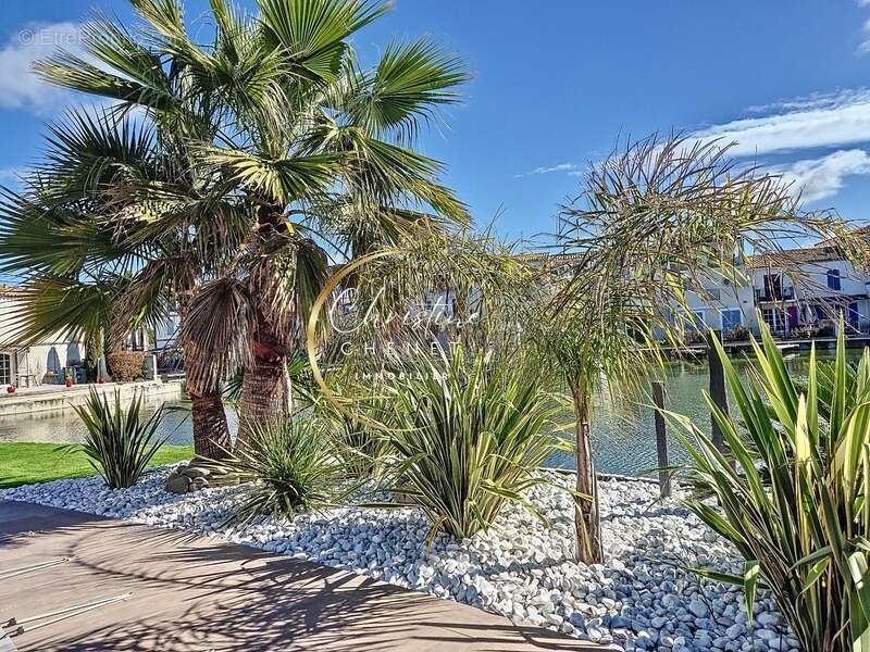 Maison à AIGUES-MORTES