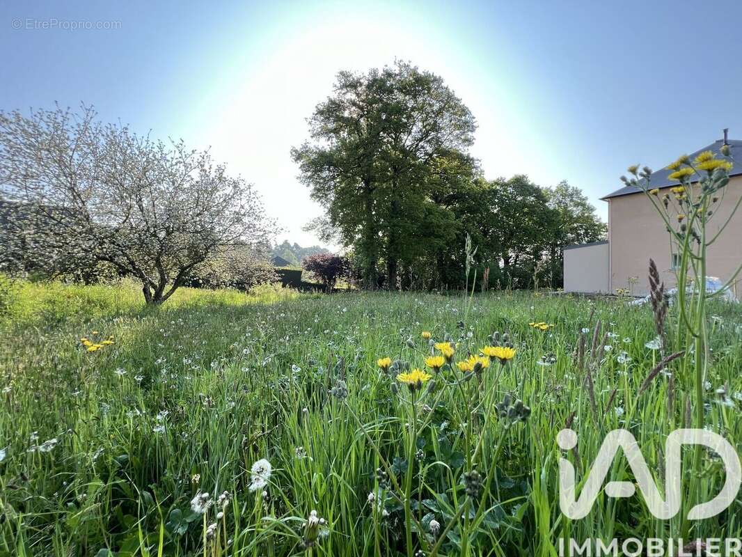 Photo 4 - Terrain à MONTERFIL