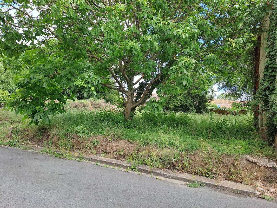 Terrain à BRIZAMBOURG