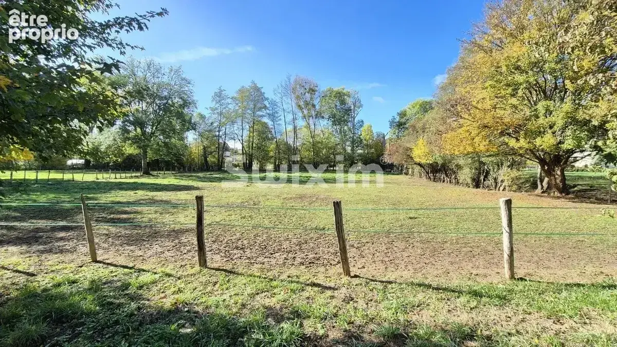 Propriété de charme avec installations équestres à 10min de TANNAY - photo 6