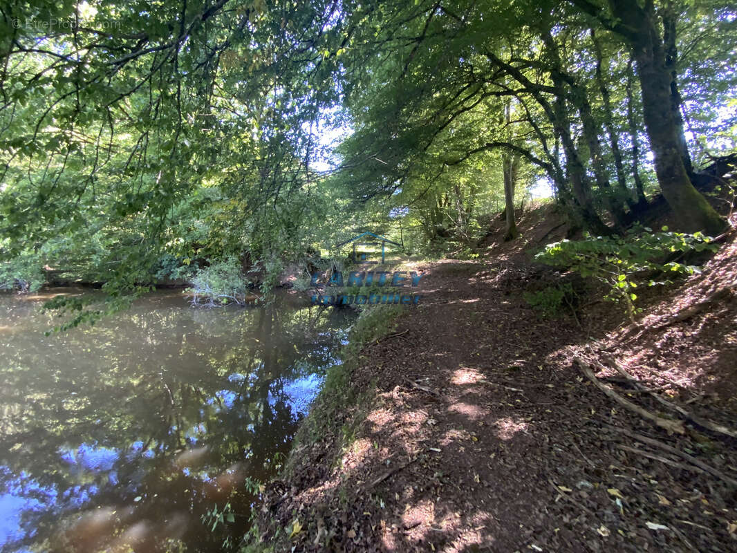 Etang de 30 ares environ sur un terrain de 75 ares avec abri de pêche à FRAHIER (70400) - photo 8