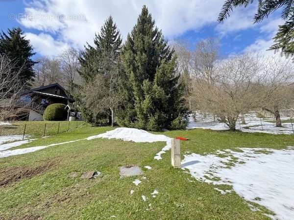 Terrain à SAINT-THEOFFREY