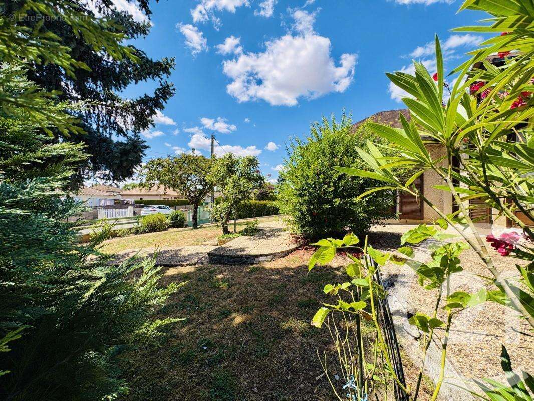 Maison 155 m² à Peyrat-De-Bellac  - photo 46