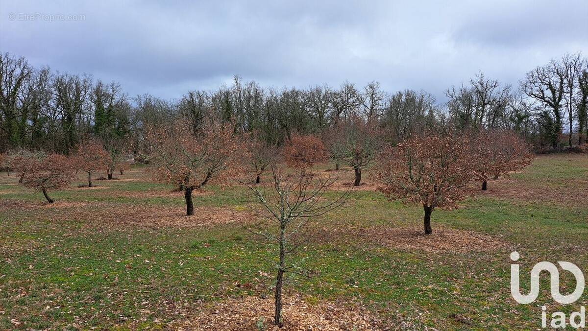 Photo 1 - Terrain à BACH