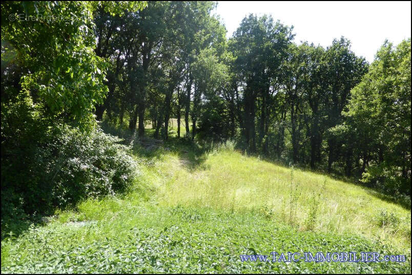 Maison à CORDES-SUR-CIEL