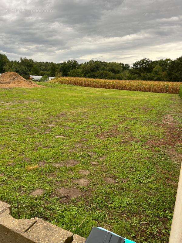 Terrain à SAINT-CHRISTOPHE-EN-BRESSE