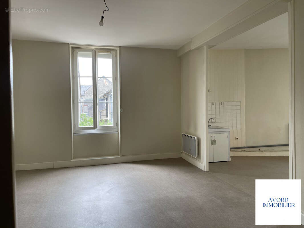 Appartement 1 - pièce de vie  - Appartement à AVORD