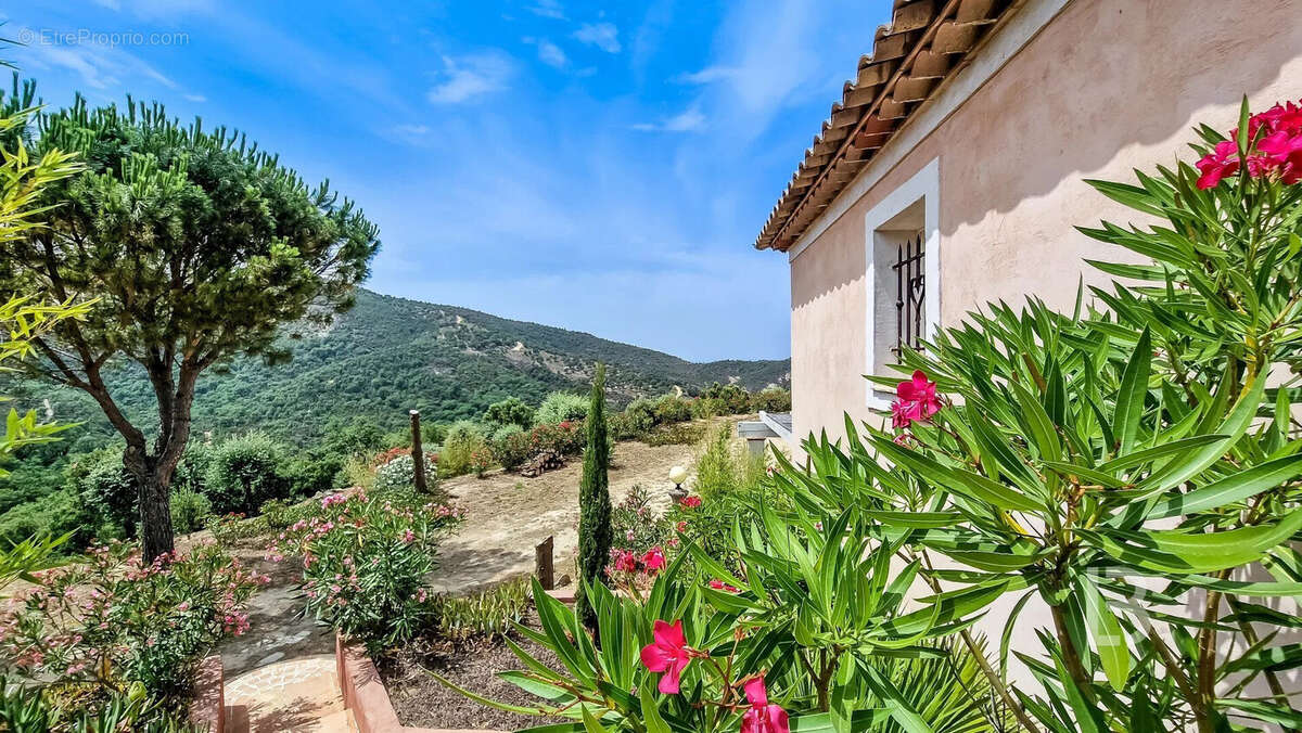 Maison à PLAN-DE-LA-TOUR