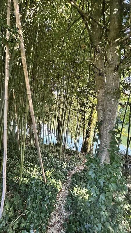 IMG2340 - Maison à NIORT